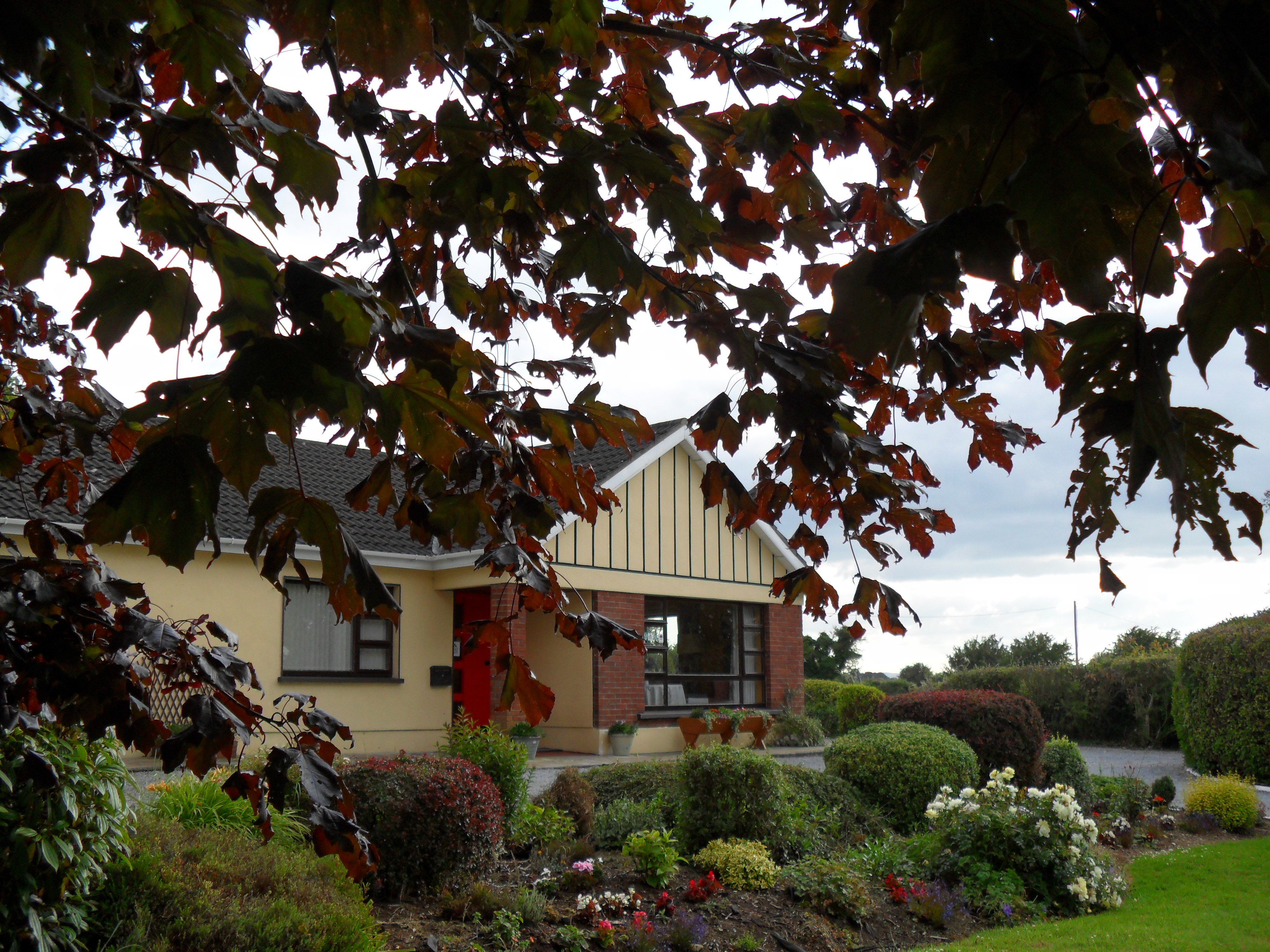 Bed Breakfast Accommodation Adare | Limerick | V94 FD63 B&B | B And B ...