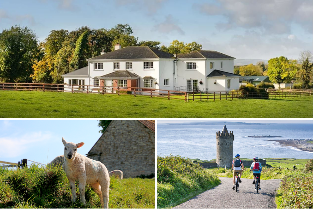 Themed B&Bs | Specialist Bed And Breakfasts | B&B Ireland