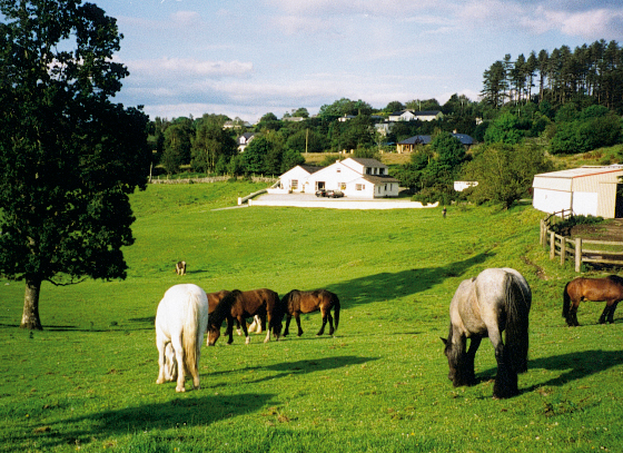 Bed Breakfast Accommodation Killarney | Kerry | V93 W568 B&B | B And B ...