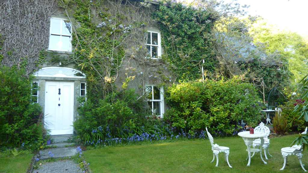 Pet Friendly Bed & Breakfasts| Pet Friendly B&B | B&B Ireland